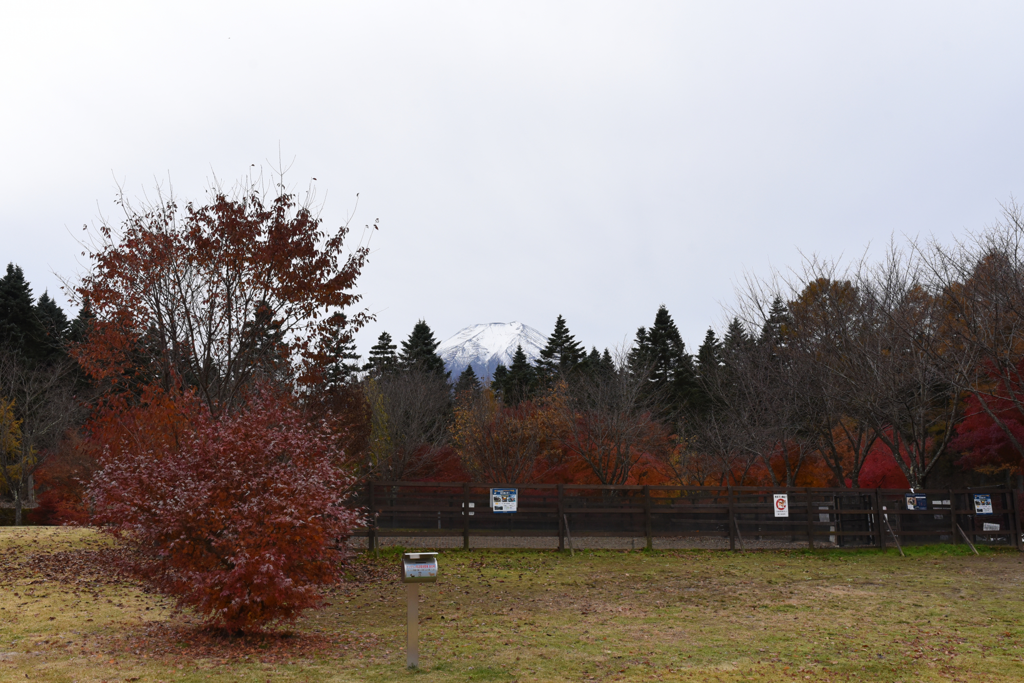 道の駅富士吉田ドッグラン