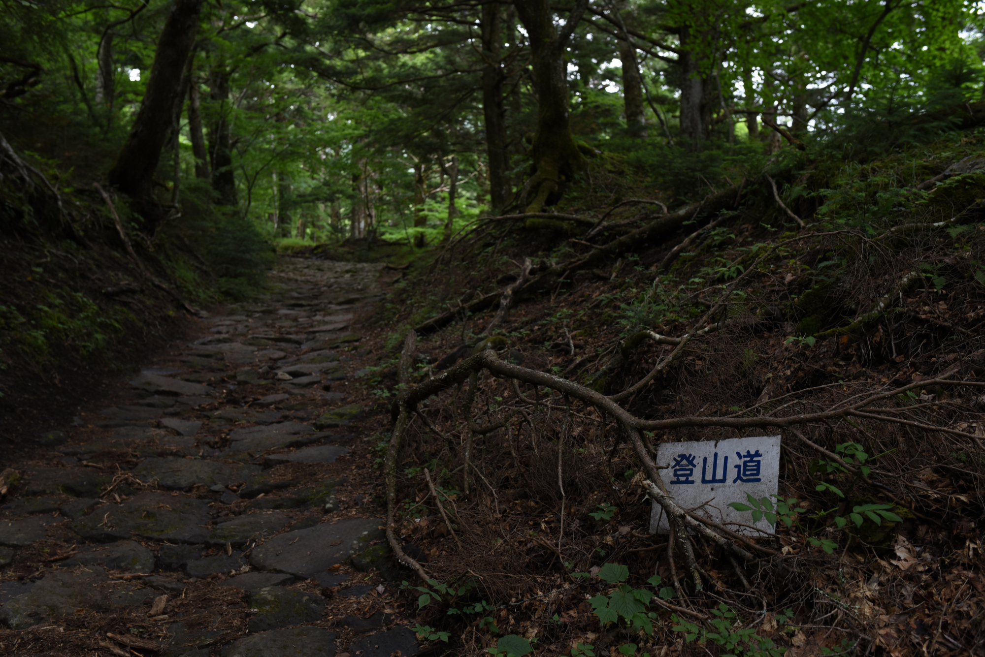 富士山の登山道