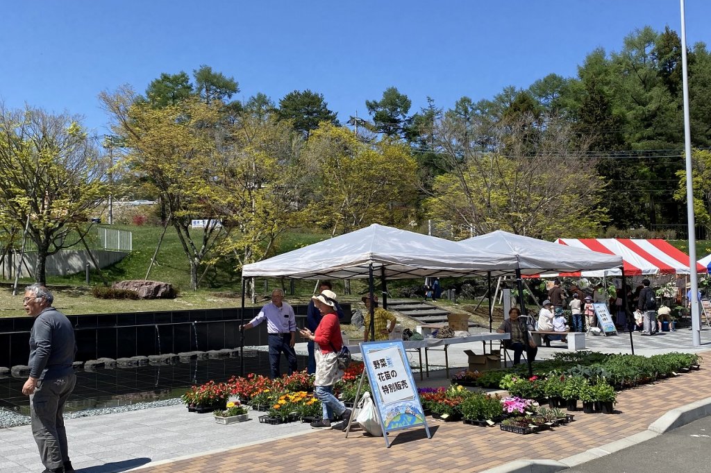 春まつりINふじさんミュージアムパーク
