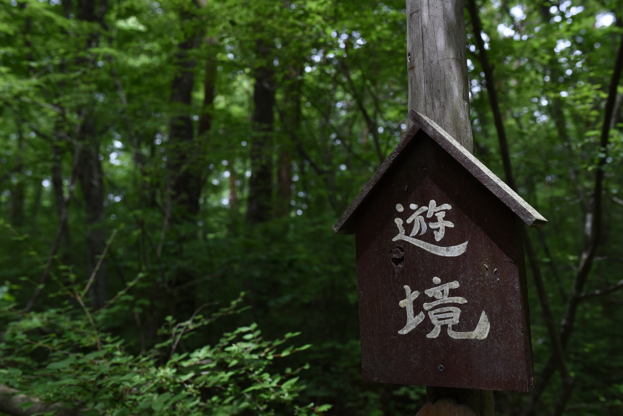 「遊境」と呼ばれていることを示す立て看板