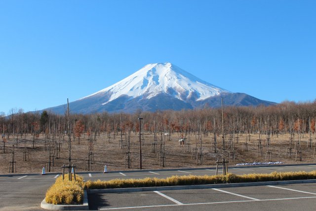 Fuji Sansaku Koen Park