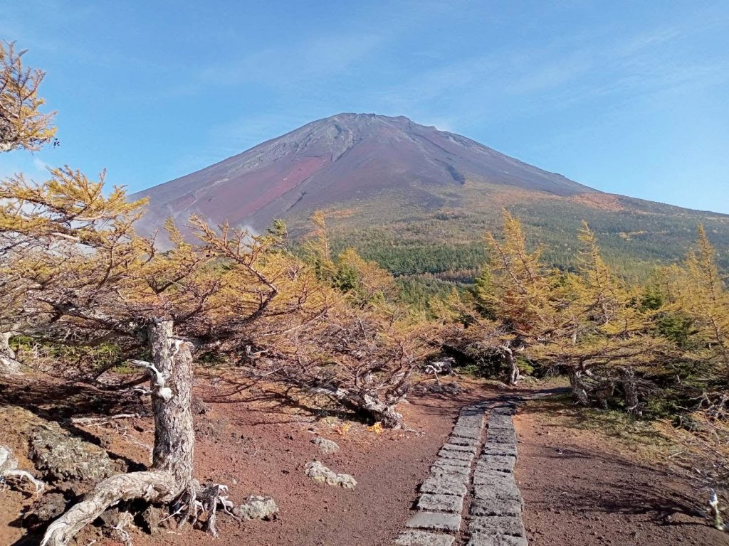 定番のお歳暮＆冬ギフト 日帰りで富士山を満喫！富士山五合目ハイキングへ行こう（5〜6 絵葉書