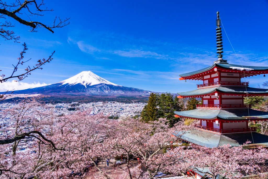 春限定！富士吉田の桜を制覇する欲張りコース｜富士吉田市のモデル