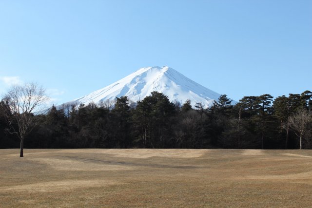 Suwanomori Shizen Koen Park (Fuji Pines Park)