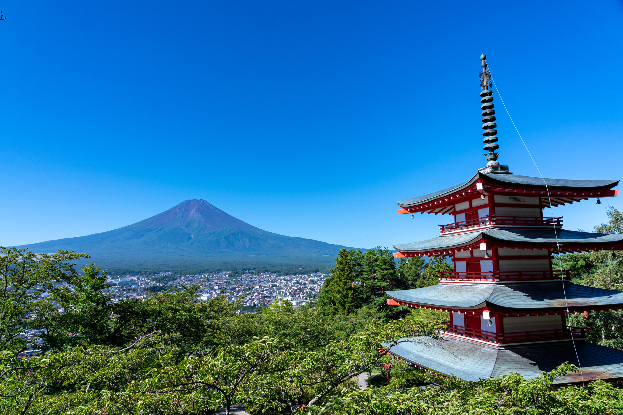 緑が青々と茂る新緑の季節は穴場