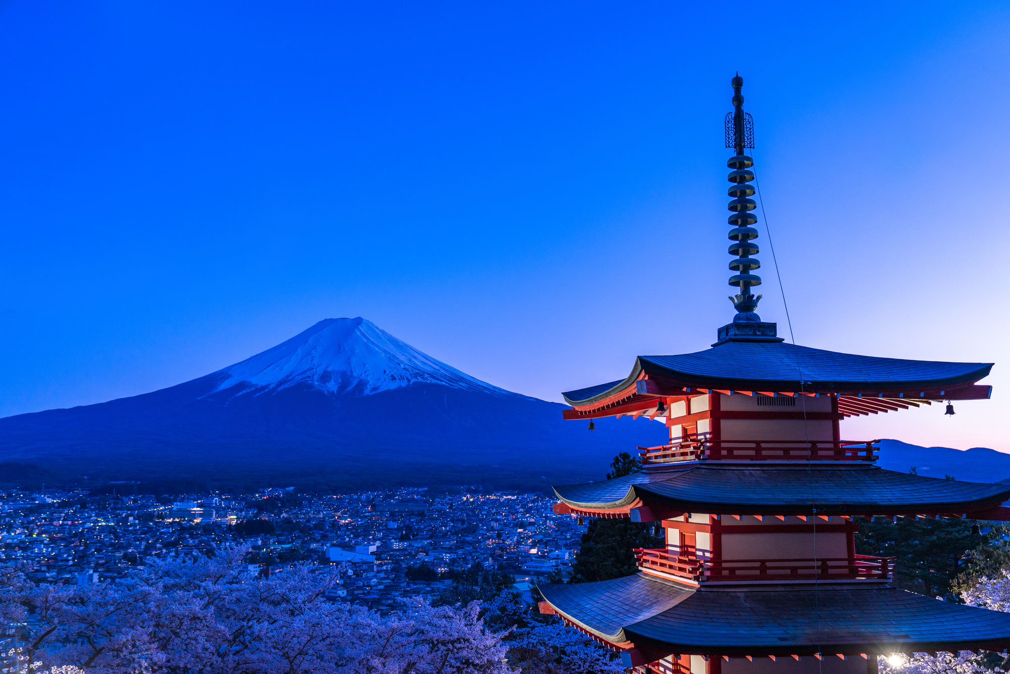 夜には夜桜が映える絶景も楽しめる