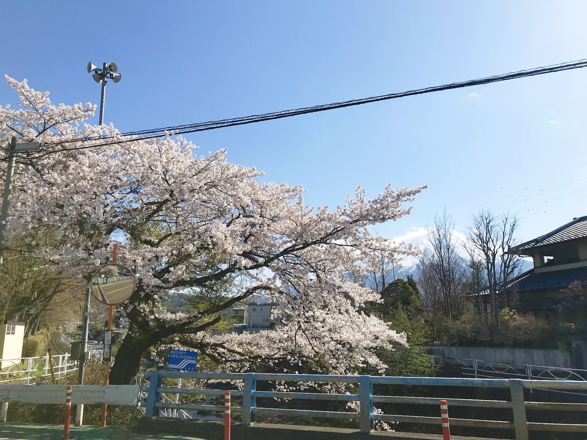 天気がいい日には富士山も顔を出す