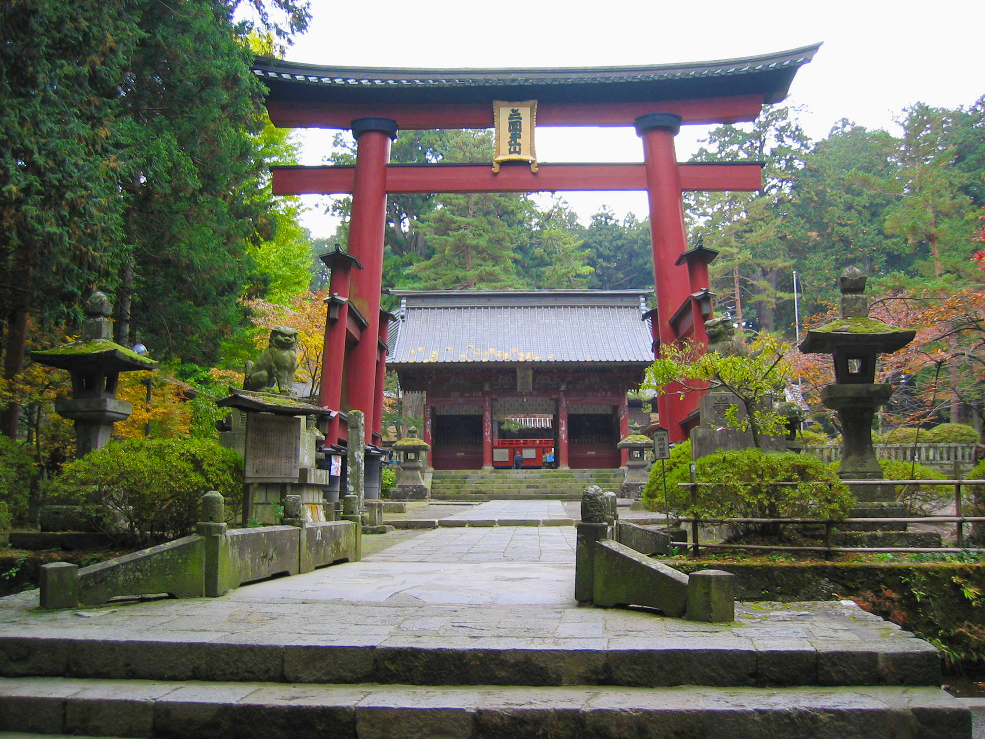 木造の鳥居としては最大級のもの