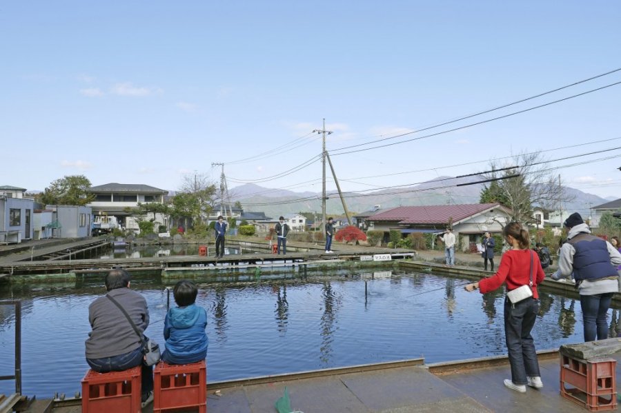 富士見つりぼり 富士吉田の観光スポット 体験 公式 富士吉田市観光ガイド