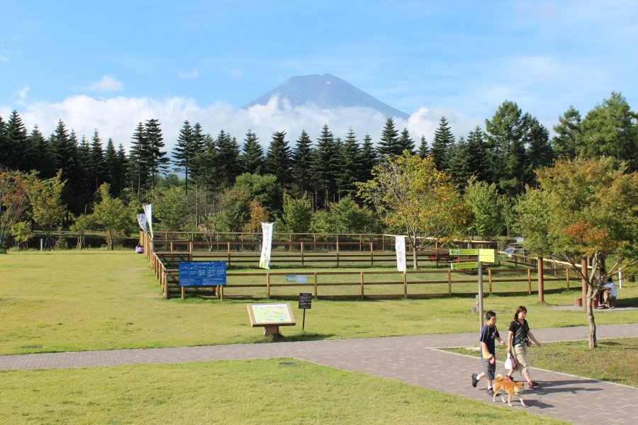 雄大な富士山を望む広々としたドッグラン