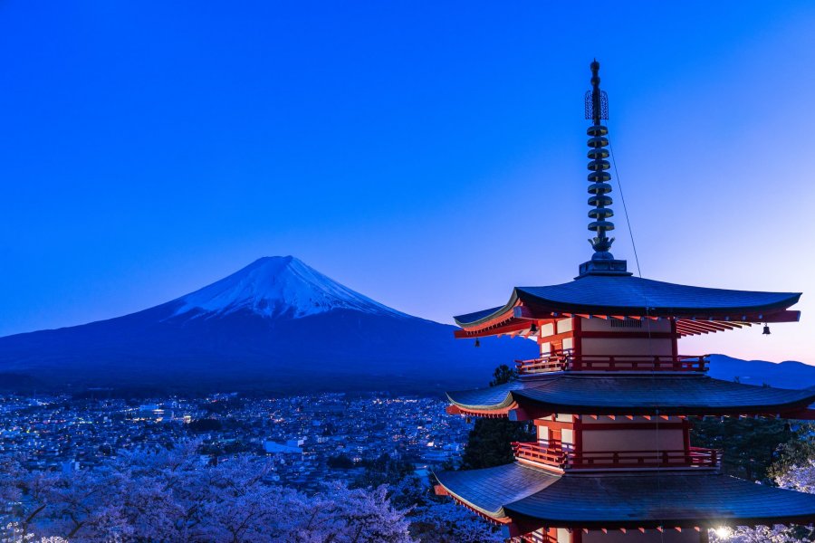 ＿夜には夜桜が映える絶景も楽しめる