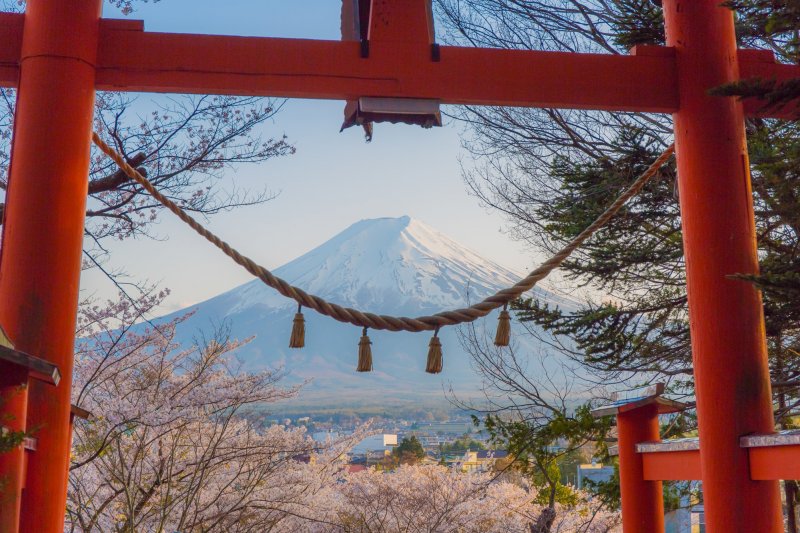 ＿鳥居の中から桜と富士山を望むフォトジェニックなスポットも
