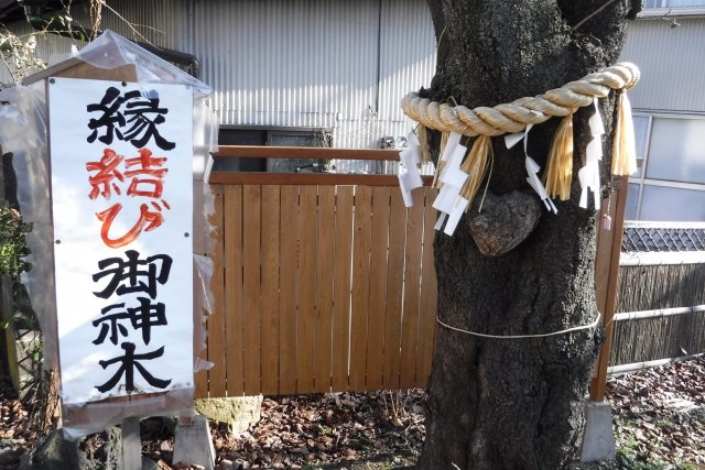 冨士山下宮小室浅間神社（下浅間）