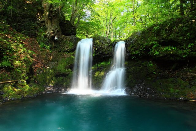 鐘山の滝