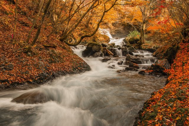 Kaneyama Falls