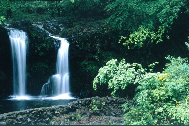 鐘山の滝