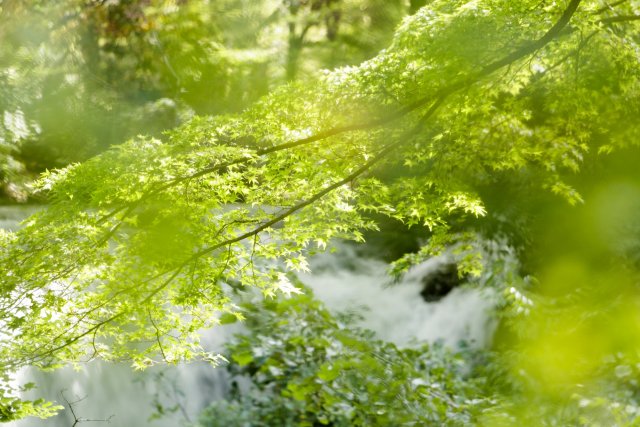 鐘山の滝