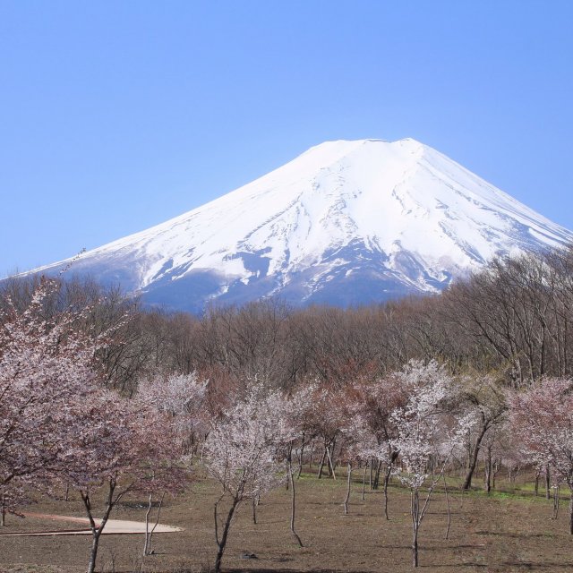 富士散步公園