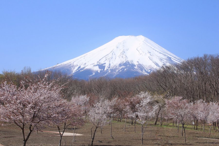左右の裾野が均整のとれた美しい富士山を眺めることができるスポット