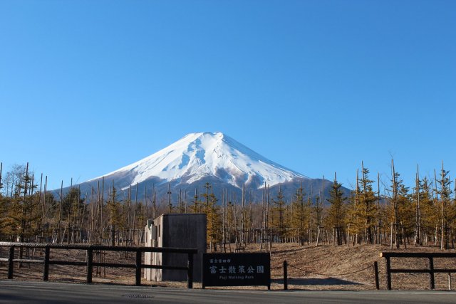 Fuji Sansaku Koen Park