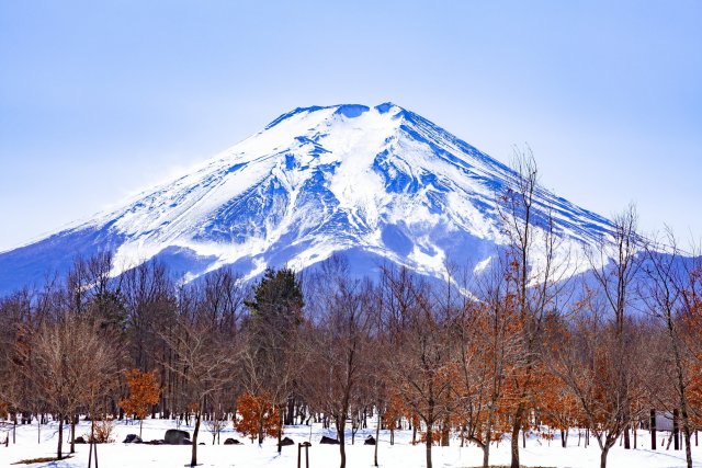 富士散步公園