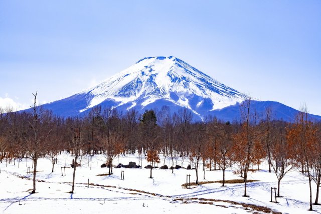 富士散策公園