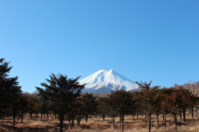 Fuji Sansaku Koen Park