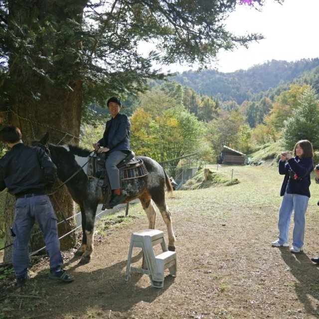 Fujisan Bokujo (Ranch)