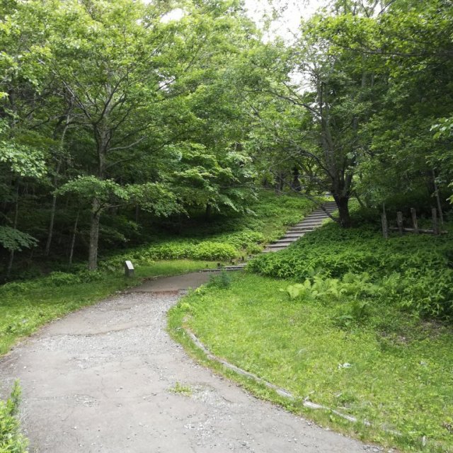 Umagaeshi