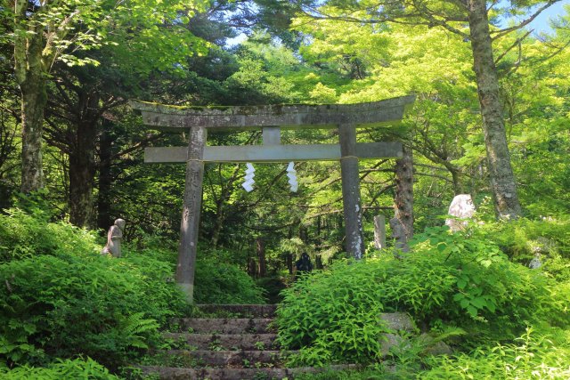 吉田口登山道を歩こう 馬返し 吉田口五合目編 富士吉田市のモデルコース 公式 富士吉田市観光ガイド