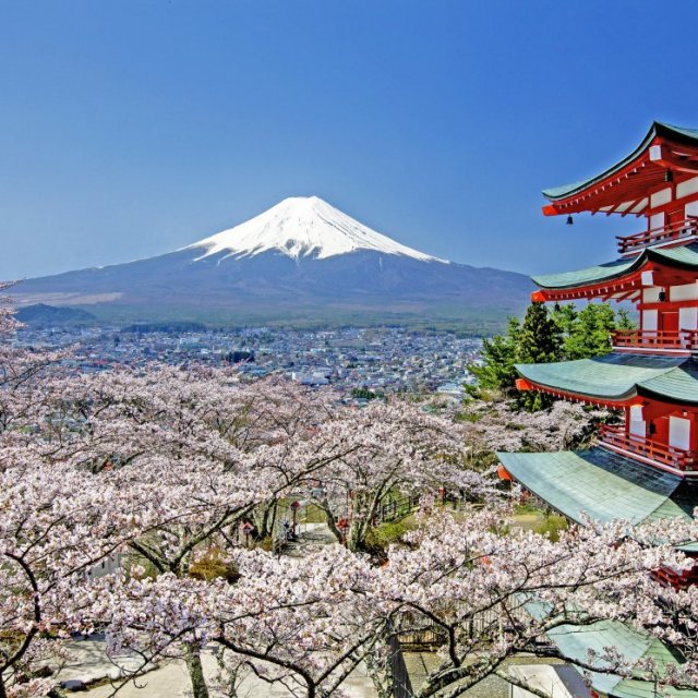 新倉山浅間公園・忠霊塔