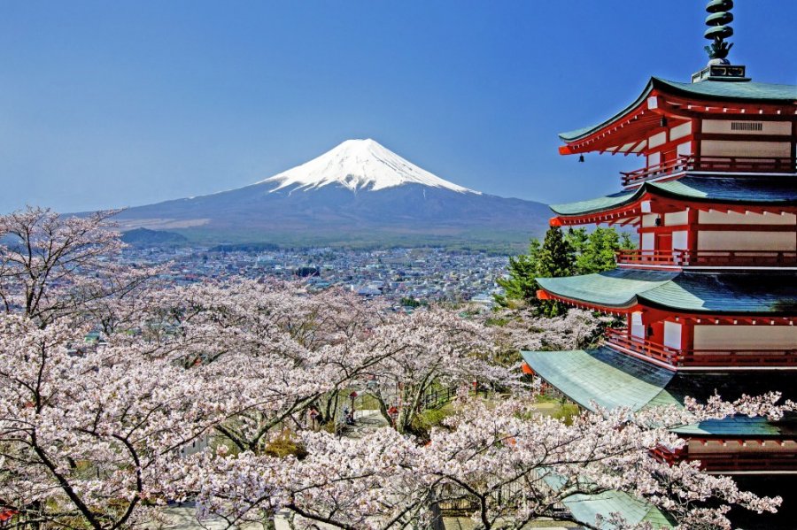 桜、五重塔、富士山が一望できる絶景スポット