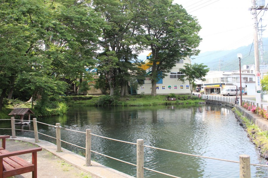 池を囲む憩いの場として人気の公園