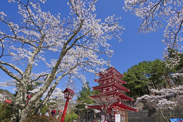 新倉山浅間公園（滞在時間60分）