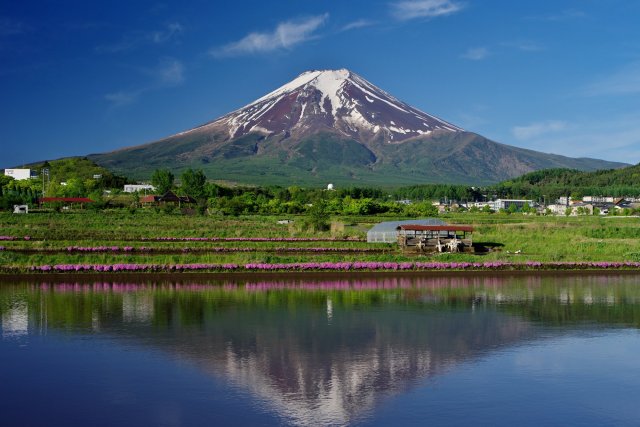 日本人なら知っておきたい 世界遺産「富士山―信仰の対象と芸術の源泉