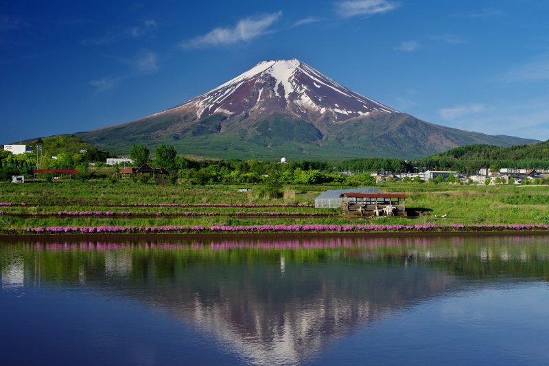池に映る逆さ富士