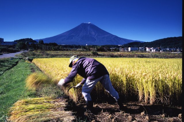 【DAY2】Noson(farming village) Koen Park