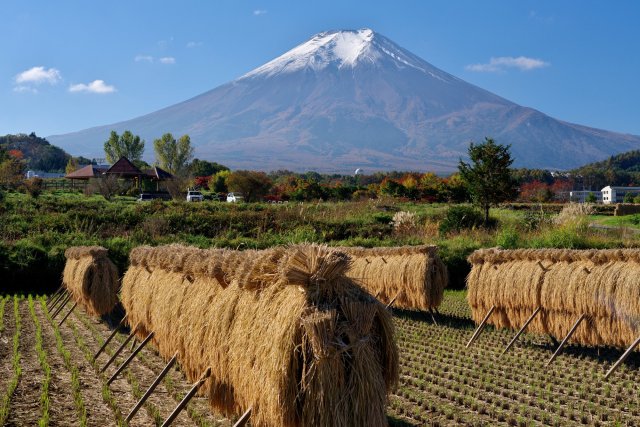 【DAY2】Noson(farming village) Koen Park