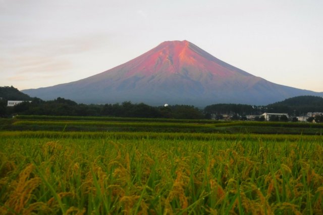 【DAY2】Noson(farming village) Koen Park