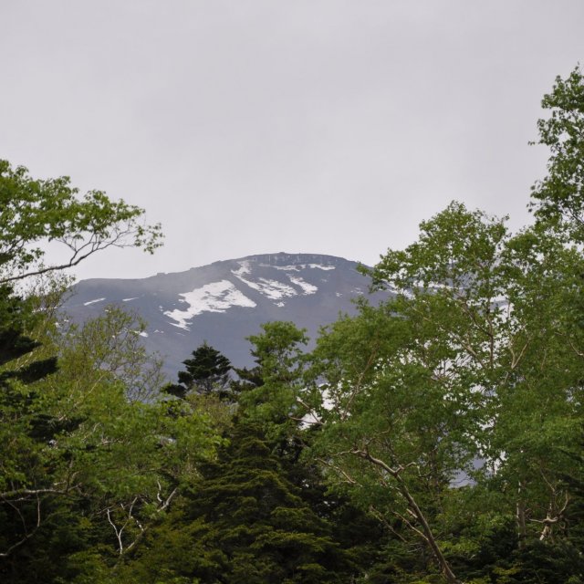 富士山遥拝所女人天上
