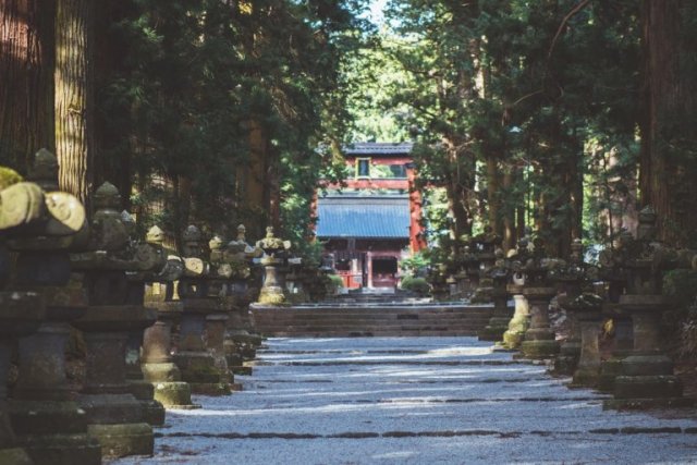 富士吉田で御朱印巡りをしよう！御朱印帳作りのワークショップと御朱印巡り（6時間）