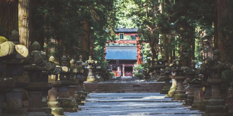 富士吉田で御朱印巡りをしよう！御朱印帳作りのワークショップと御朱印巡り（6時間）