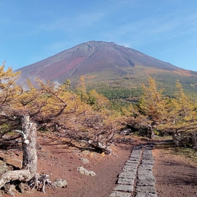 富士山五合目健行路線！（5〜6時間）