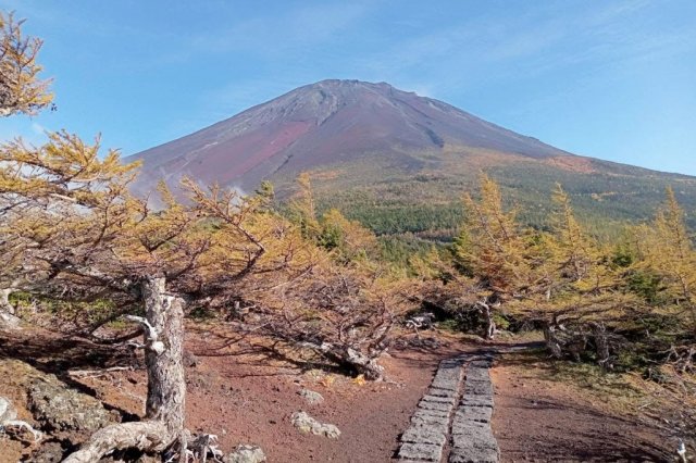 富士山五合目ハイキングへ行こう！（5〜6時間）