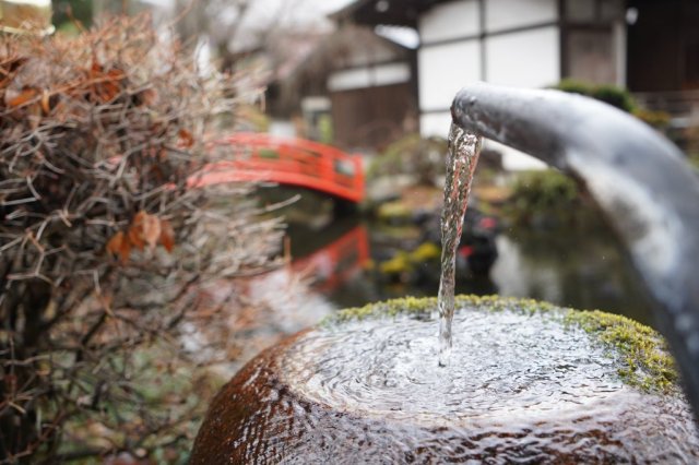 富士山の水を飲もう！湧水を巡る旅（1日）