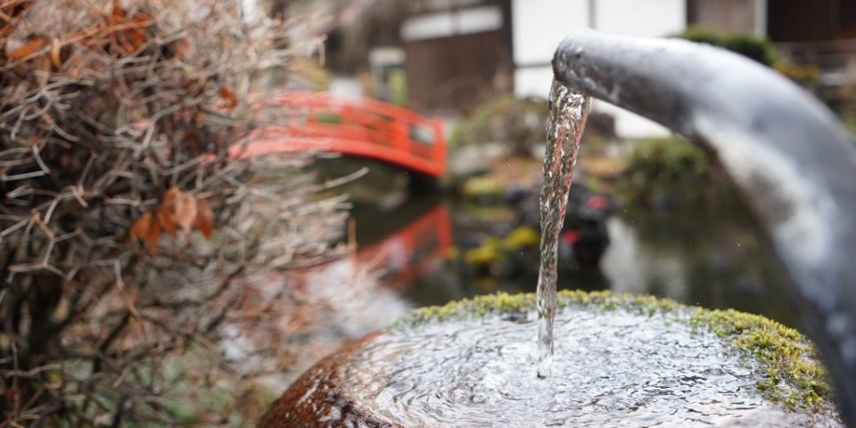 富士山の水を飲もう！湧水を巡る旅（1日）
