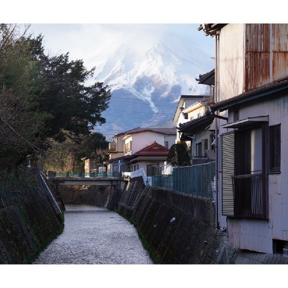 在地人密藏的下吉田富士山散步攝影名所