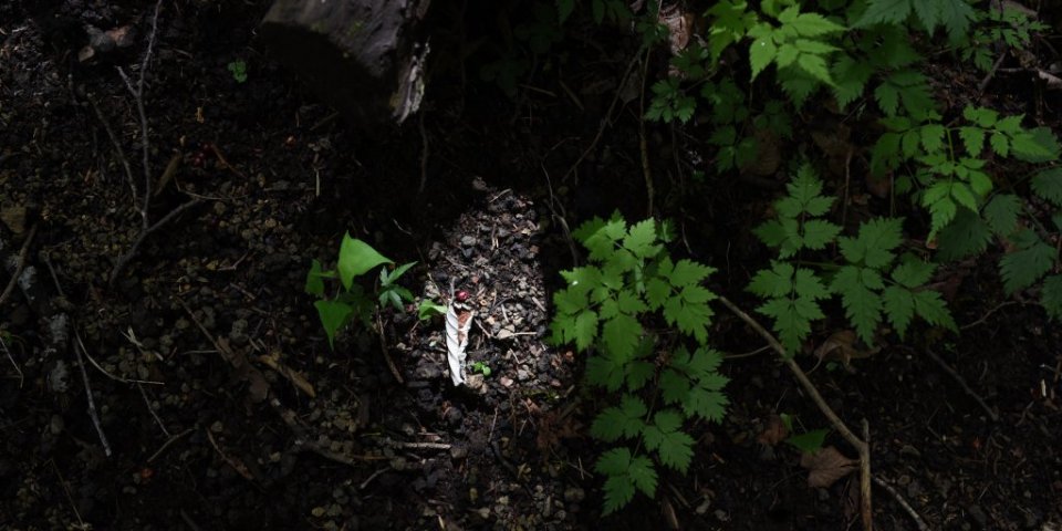 サロモンのレンタルシューズで楽しむ、中ノ茶屋から富士山2合目コース（半日）