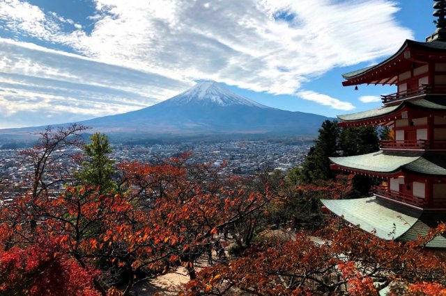 グルメの秋、富士山麓の女子旅コース（1日）