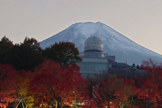 自然の中でリフレッシュ！紅葉と温泉を楽しむ、大人旅コース（1日）